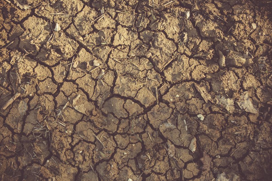 Sol argileux craquelé par la sécheresse